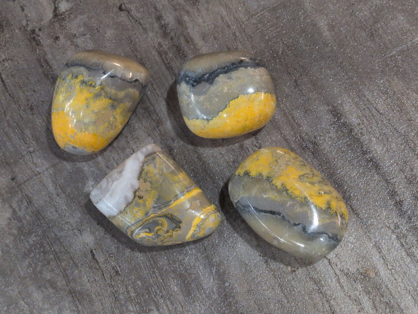 Bumblebee Jasper palm stone Priced Each