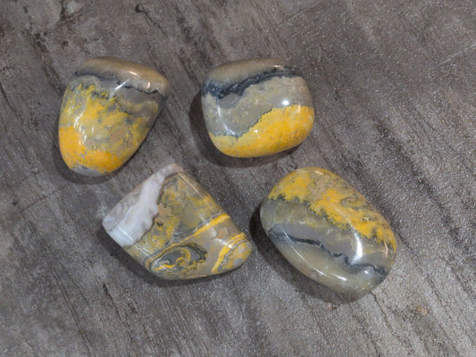 Bumblebee Jasper palm stone Priced Each