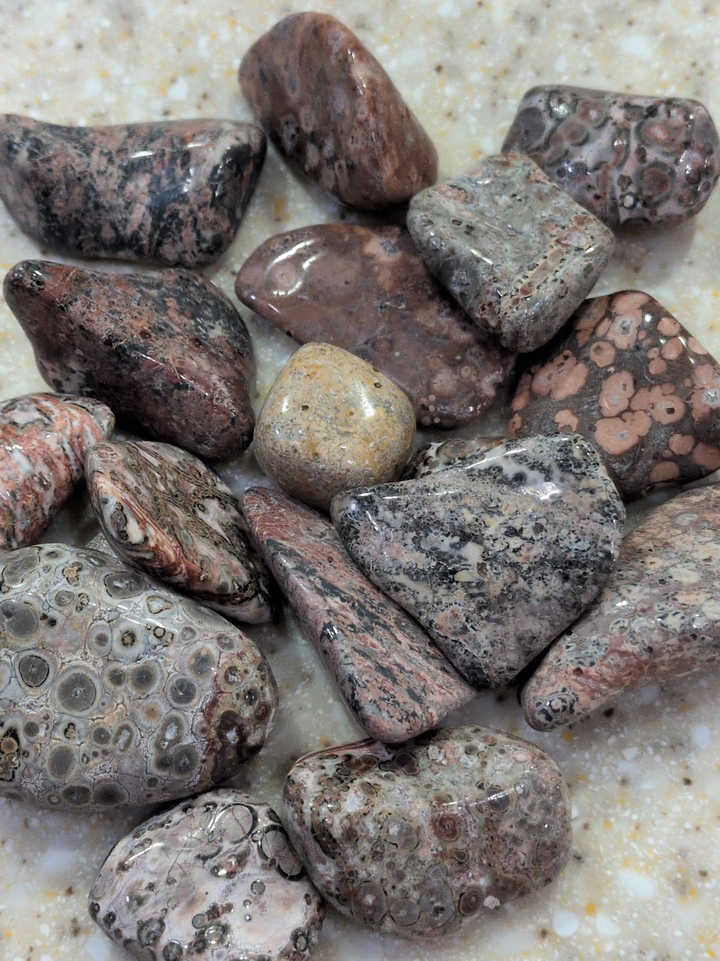 Leopard Skin Jasper Tumbled stone