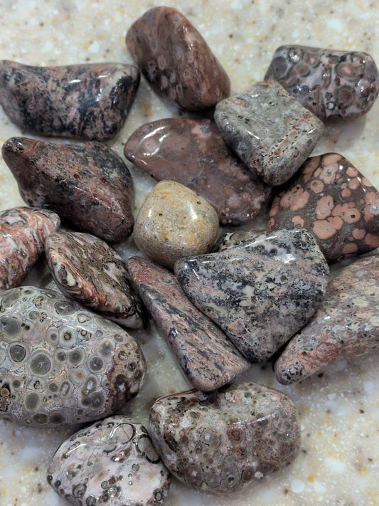 Leopard Skin Jasper Tumbled stone